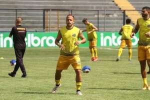 Novorizontino x Inter de Limeira - Tigre joga pela vitória para evitar o rebaixamento