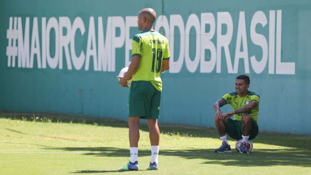 Se o Palmeiras não for campeão será zebra