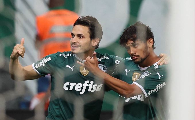 palmeiras 7