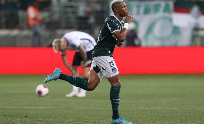 palmeiras danilo