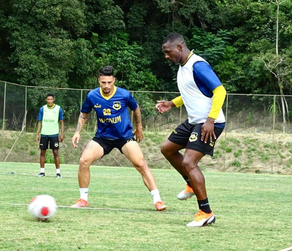 saobernardo paulistao 1