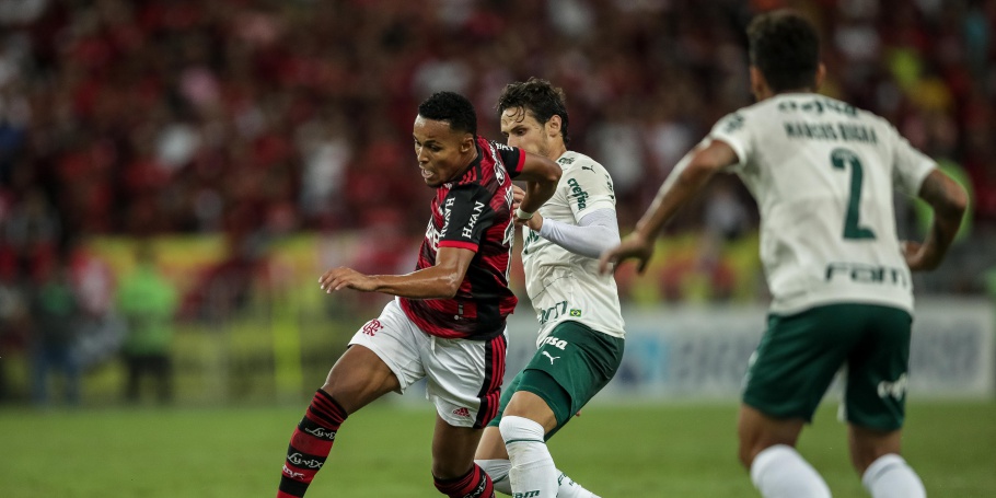 Flamengo Palmeiras 6