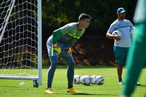 Série B: Chapecoense deve emprestar goleiro para time da Segundona