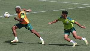 Embalado por goleadas, Palmeiras busca em Goiânia primeiros pontos no Brasileirão