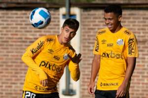 Jhojan e Angulo são liberados e podem reforçar o Santos na estreia do Brasileirão