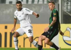 Santos x América-MG - Peixe vai engolir o Coelho?
