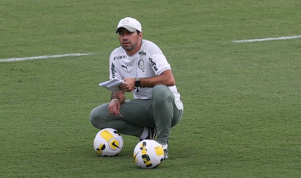 abel palmeiras