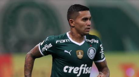 dudu palmeiras