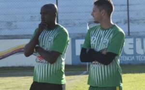 Time catarinense anuncia Reinaldo como treinador, ex-Santos, São Paulo e Flamengo