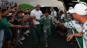 Goiás x Palmeiras - Qual alviverde vai levar?