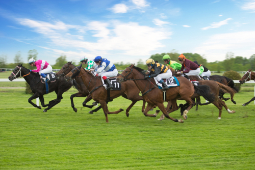 Esportebet em corridas de cavalos: tipos, análise e estratégias de