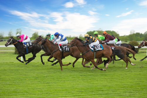 Lay the field funciona? Conheça a estrategia para corrida de cavalos