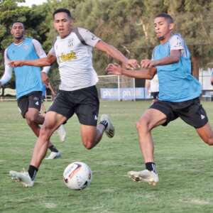 Série B: Ponte Preta volta fortalecida da Bahia e foca na Chape