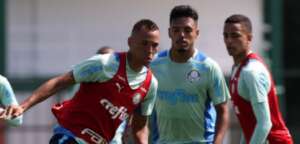 Copa do Brasil: Palmeiras se arma para enfrentar o Juazeirense