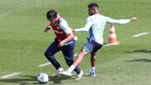 Palmeiras x Deportivo Táchira-VEN - Verdão tenta quebrar recordes na Libertadores