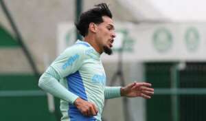 Gustavo Gómez quer levar embalo do Palmeiras na Libertadores para o Brasileirão