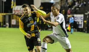 Série B: Novorizontino retoma preparação para duelo em Maceió