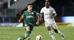 Palmeiras abre chance para base após boa atuação no clássico