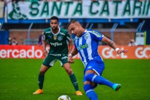 Avaí 2 x 2 Palmeiras - Muitos gols e empate merecido na Ressacada