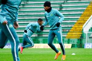 Chapecoense x Londrina - Quem vai se afastar do Z4 e aproximar do G4 da Série B?
