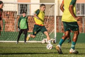 Sampaio Corrêa x CSA - Fator casa para voltar a vencer na Série B