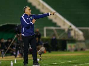 Chamusca admite 
