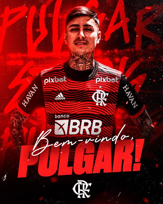 Flamengo Pulgar