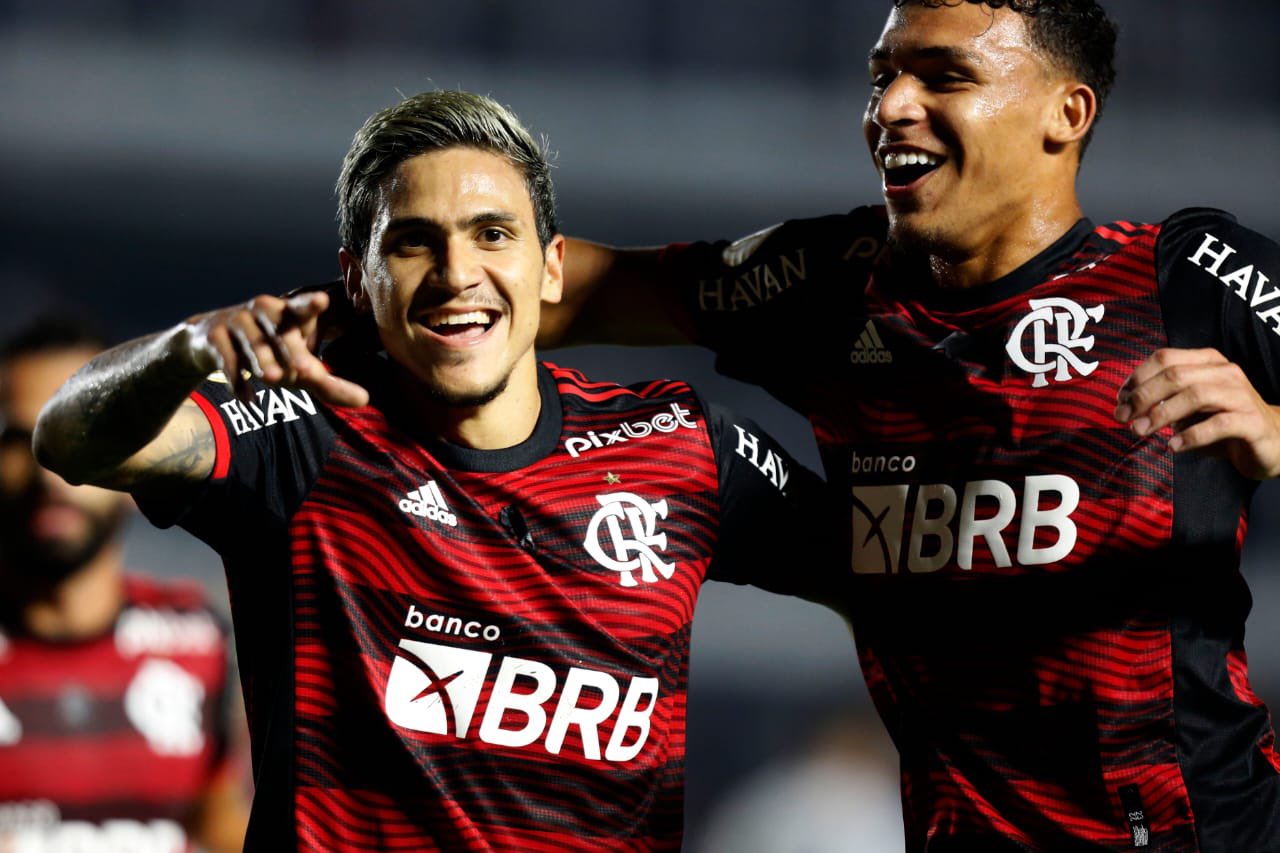 Flamengo Santos 2 1