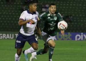 Série B: Após derrota para o Bahia, Mozart confirma reforço no Guarani