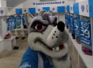 Série C: Paysandu-PA estiliza vestiário do Baenão e provoca Remo-PA. Veja as imagens!