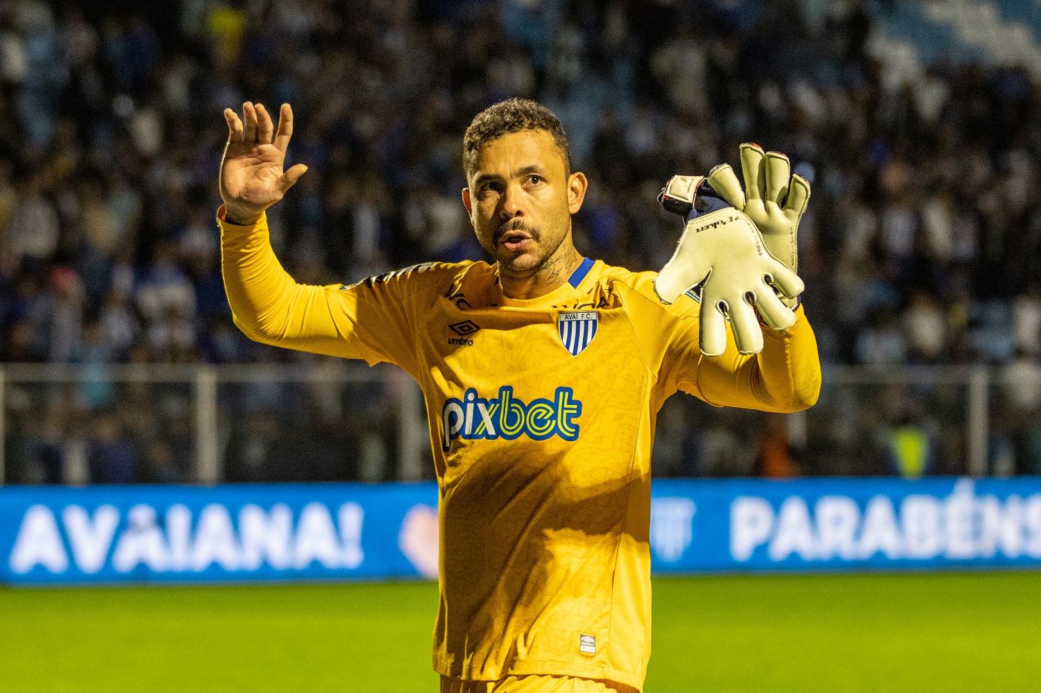 Goleiro do Avaí vai enfrentar ex-time pela primeira vez na carrreira