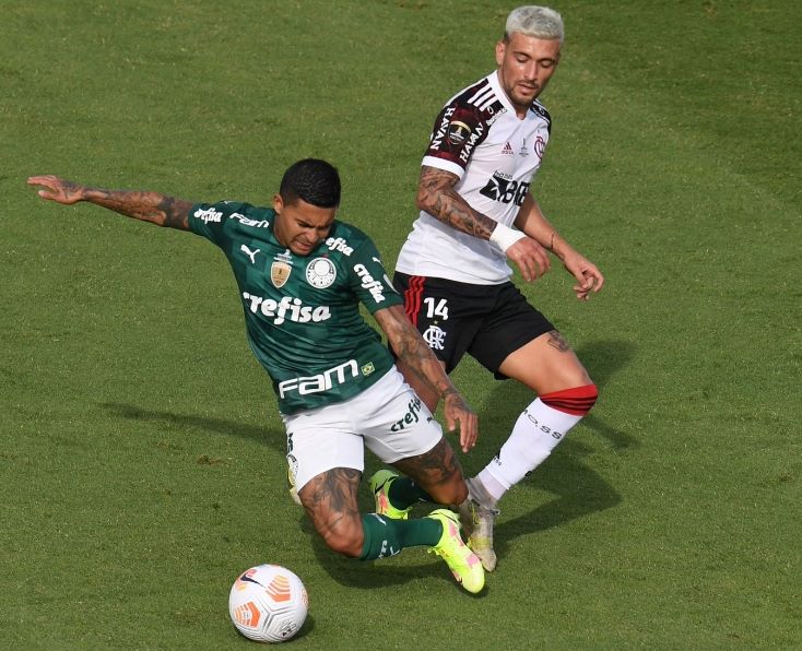 Palmeiras DUDU