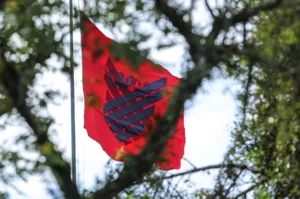 Athletico-PR identifica torcedores que praticaram atos racistas