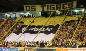 Só no FI: Criciúma vence Nação e está de volta à primeira divisão catarinense