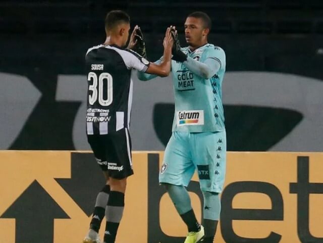 diego loureiro goleiro botafogo