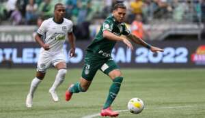 Palmeiras com uma mão na taça do Brasileirão. Confira as chances de título!