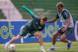 Série B: De ânimo renovado, Guarani inicia preparação para enfrentar o Vasco