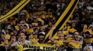 Série B: Criciúma não perde em casa há cinco jogos e quer manter fase contra o Bahia