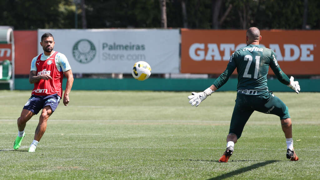 Palmeiras joga para manter a ponta e recuperar a confiança