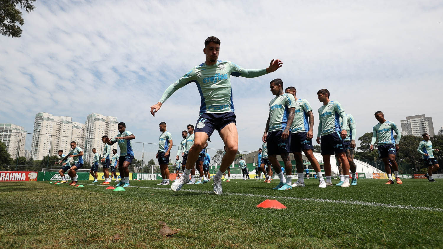 Palmeiras treino