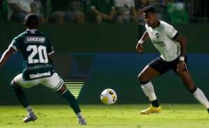 Goiás 0 x 1 Botafogo - Fogão vence com gol no fim e quebra série invicta goiana