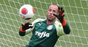 Palmeiras está perto de renovar com o goleiro Marcelo Lomba