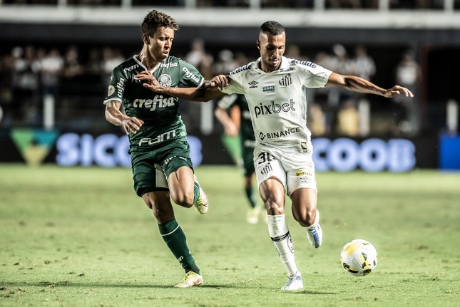 Palmeiras x Santos - Clássico pode deixar o Verdão ainda mais perto da taça