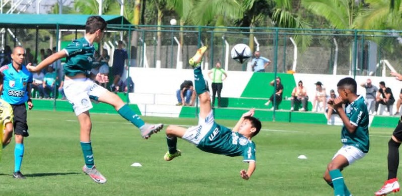 palmeiras sub 11