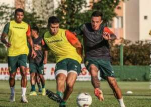 Sampaio Corrêa x Novorizontino - Tricolor aposta em fator casa para reagir