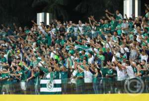 Goiás é multado por arremesso de um copo plástico