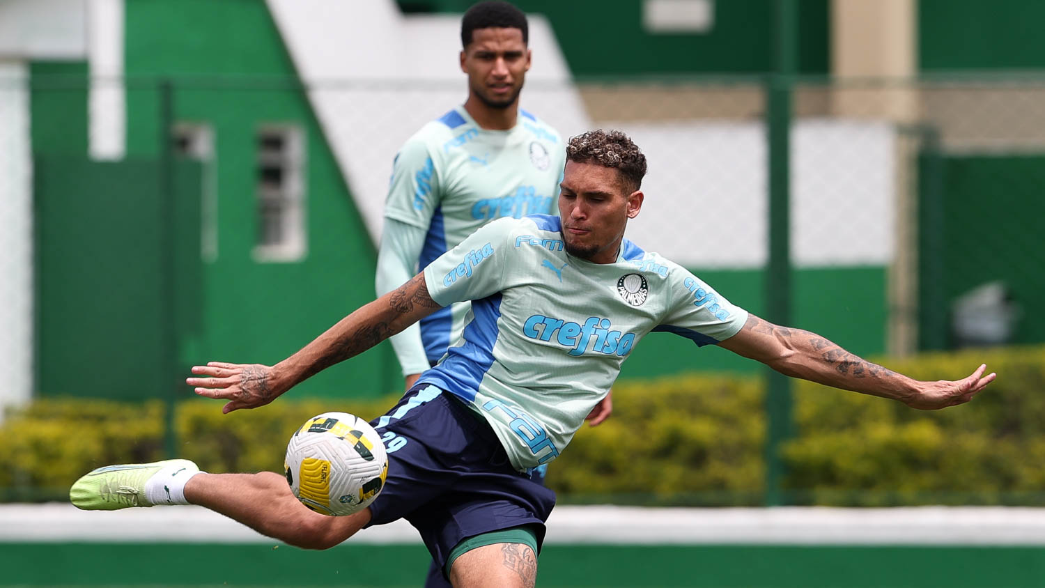 Palmeiras Avaí Campeonato Brasileiro