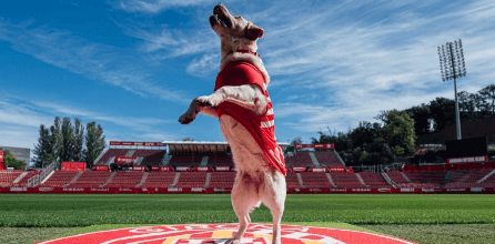 Girona FC Pet Friendly Gosbi