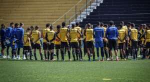 Série B: Novorizontino espera vencer o Cruzeiro e seguir na Série B