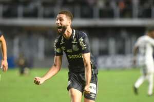 Série B: Cruzeiro não renova e Wagner Leonardo voltará ao Santos